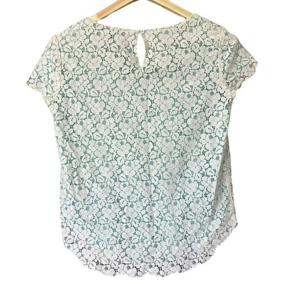 Aritzia Talula White Lace Blue Underlay Short Sleeve Blouse Womens M - Picture 2 of 6